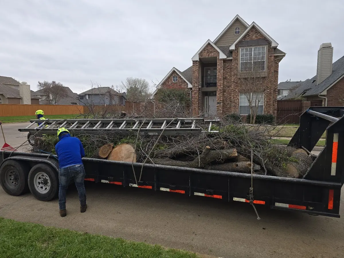 Expert Crown Reduction with proper safety equipment in Saint Paul